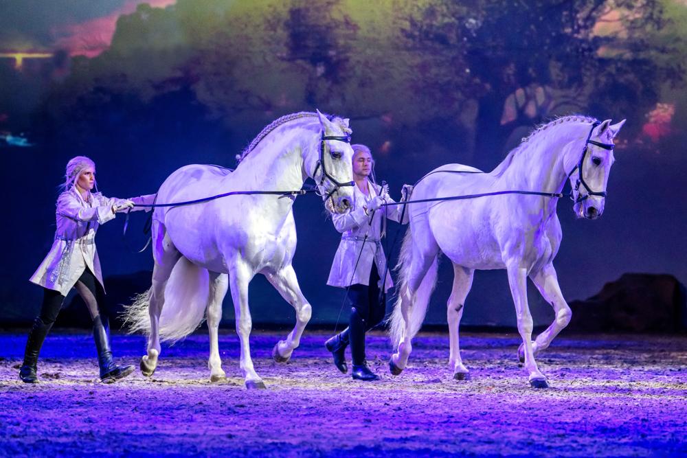 Pferdeshow Apassionata: Rechtsstreit beigelegt – Bustreff.de – Busmagazin